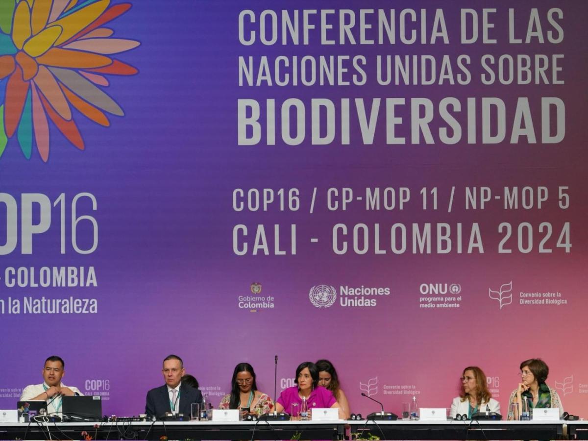 Conferencia de las Naciones Unidas sobre Biodiversidad, COP16.