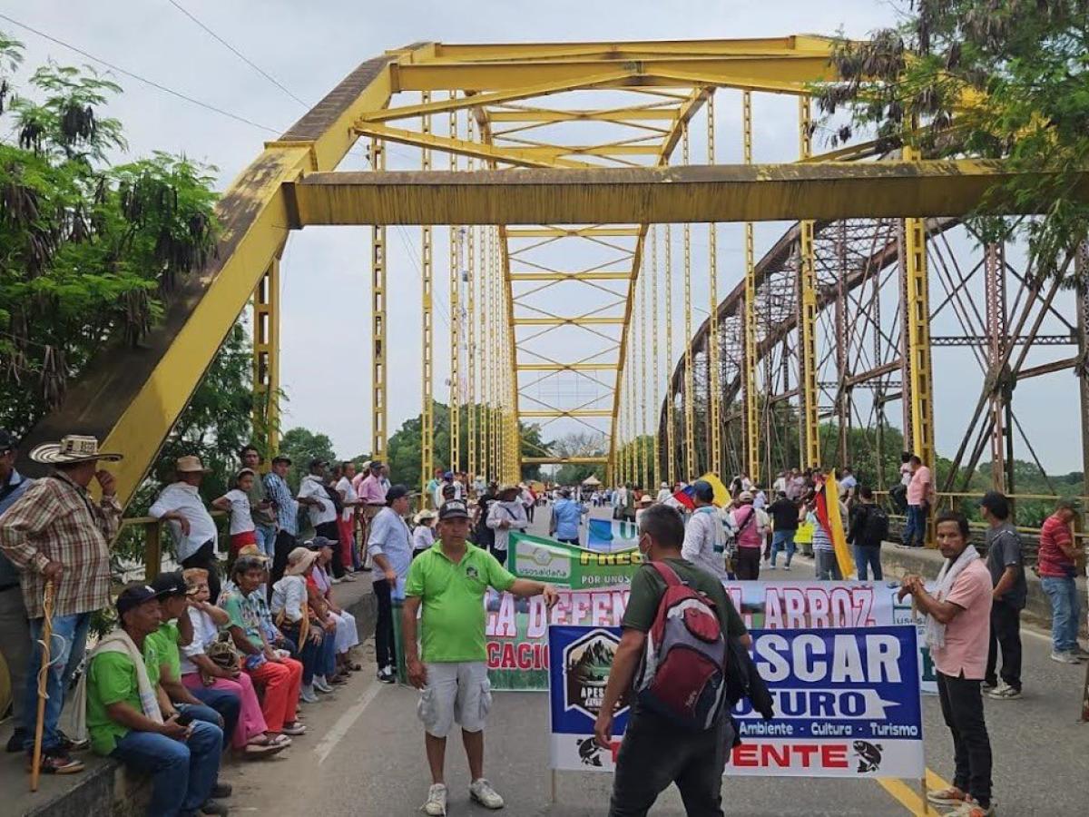 Paro arrocero HOY estado por propuestas MinAgricultura
