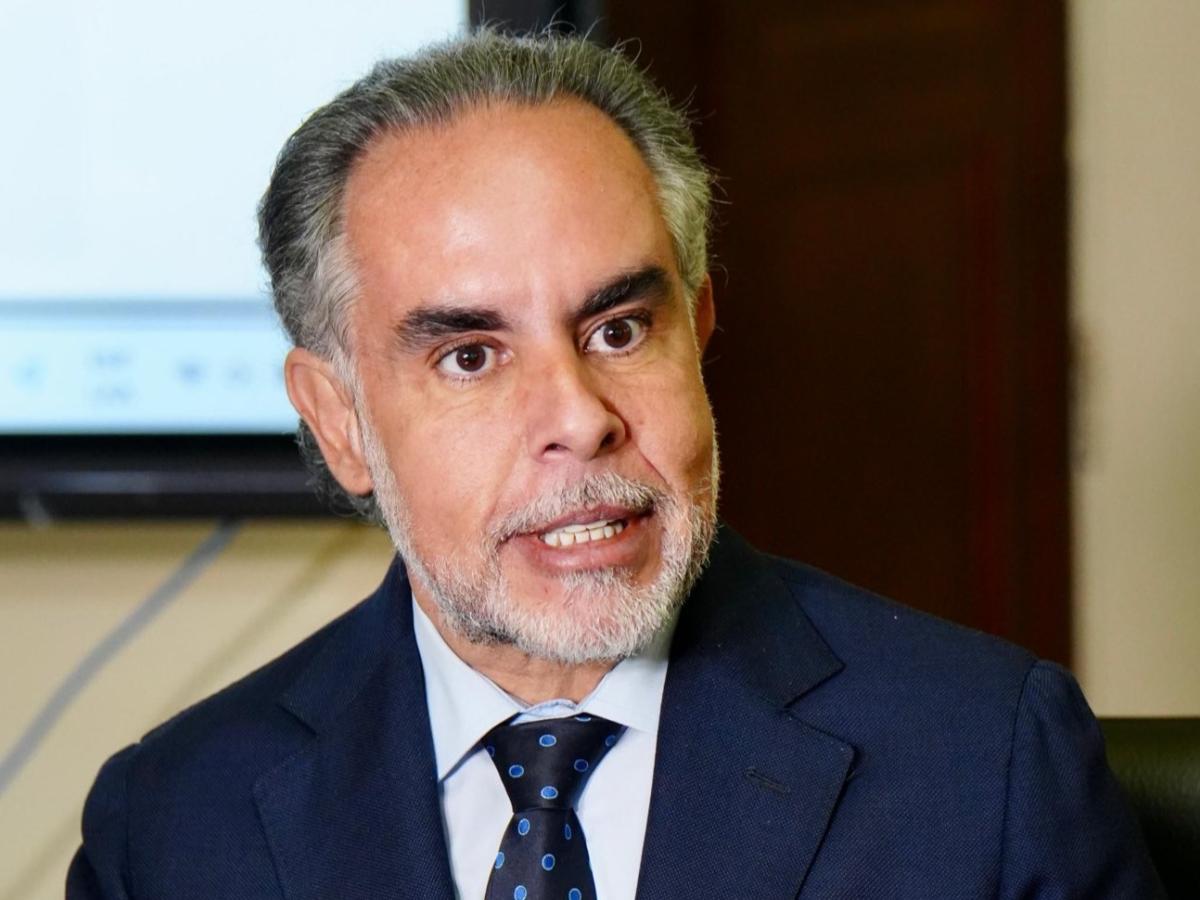 Decreto consulta popular: posición Gobierno 