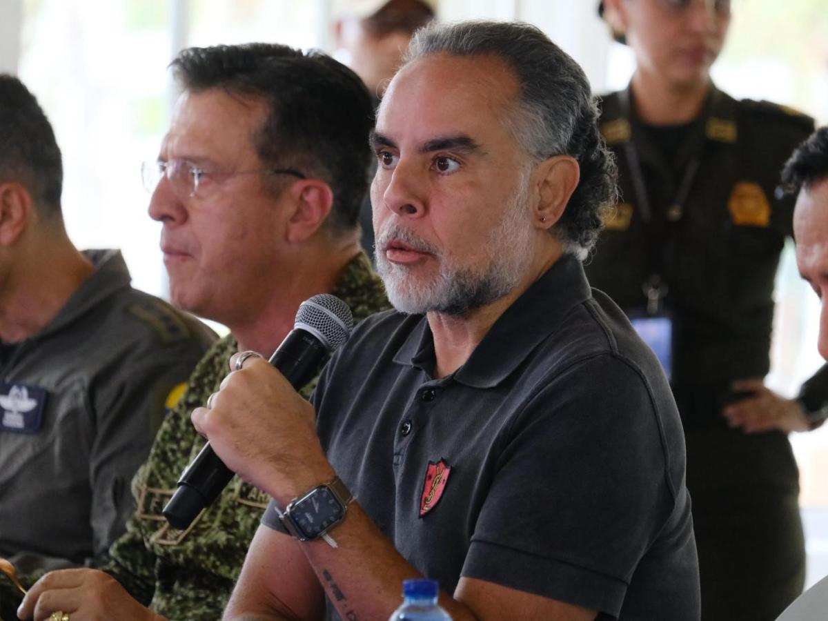 Consulta popular: vicios de trámite en su votación en Senado 