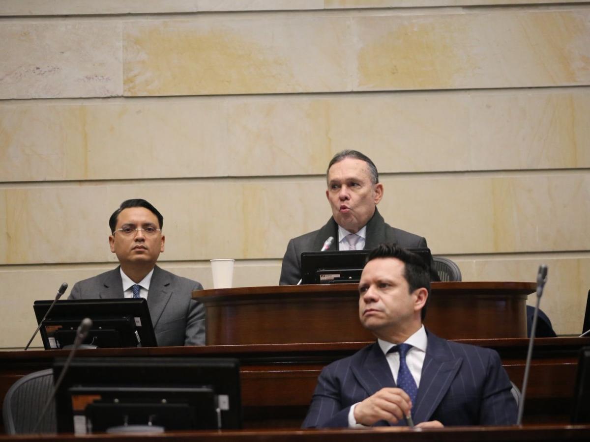 Consulta popular se hundió en el Senado 