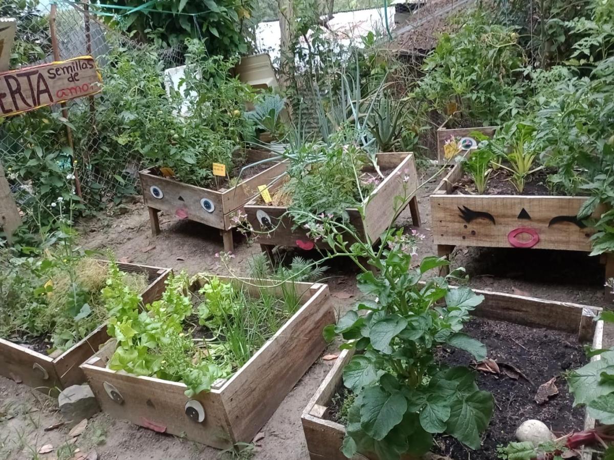 Soberanía alimentaria con huertas periurbanas en Rioblanco, Tolima