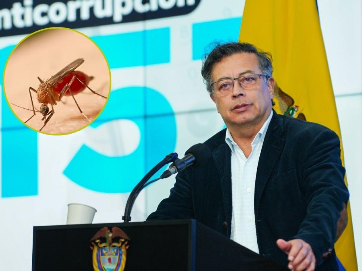Fiebre amarilla: presidente Petro pide que colombianos estén vacunados en dos meses 