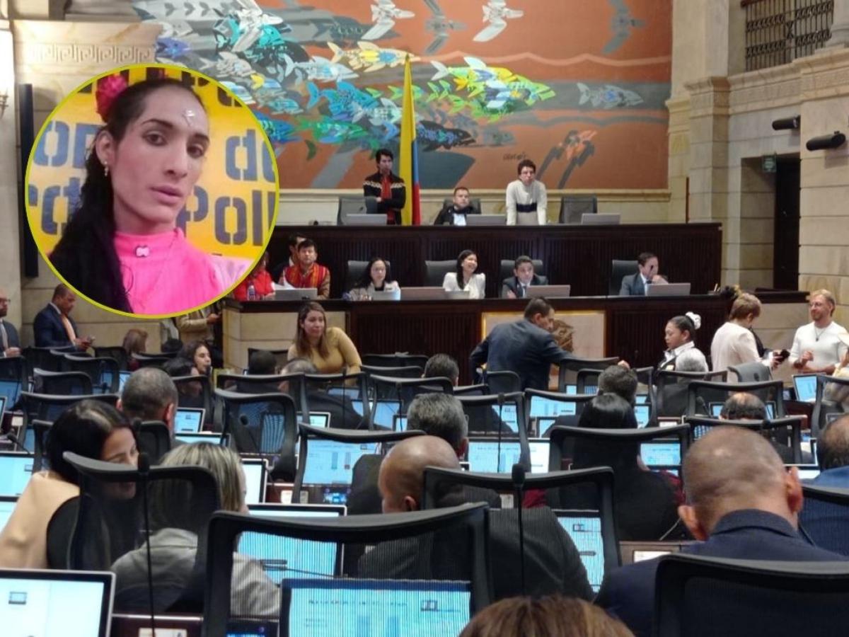 Congreso llevó a cabo audiencia pública sobre Ley Sara Millerey