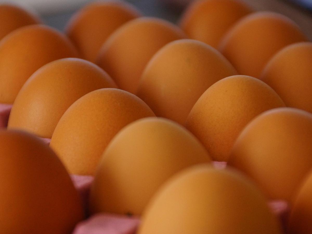 Consumo de huevos en Colombia 2025: Fenavi confirma récord histórico, cada colombiano come uno al día