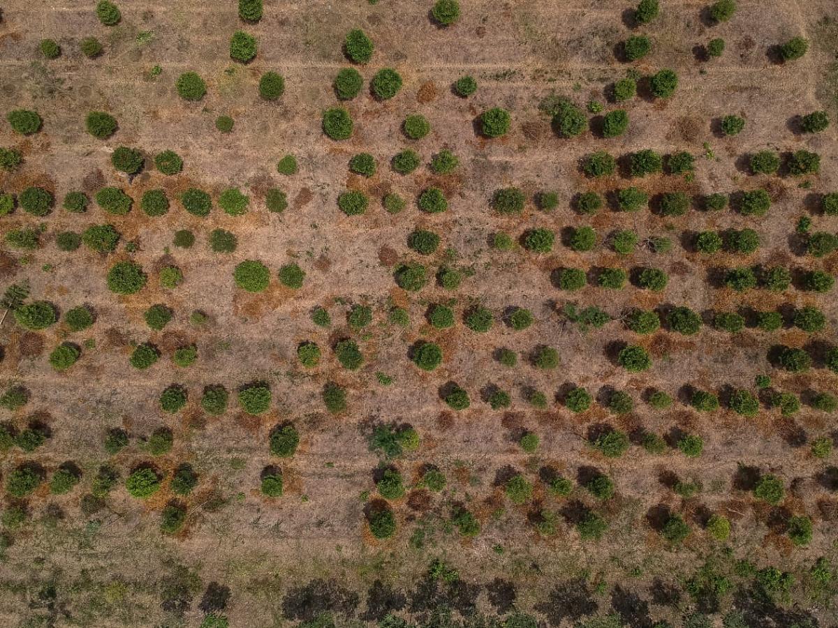Ideam alerta por posible fenómeno de El Niño en Colombia