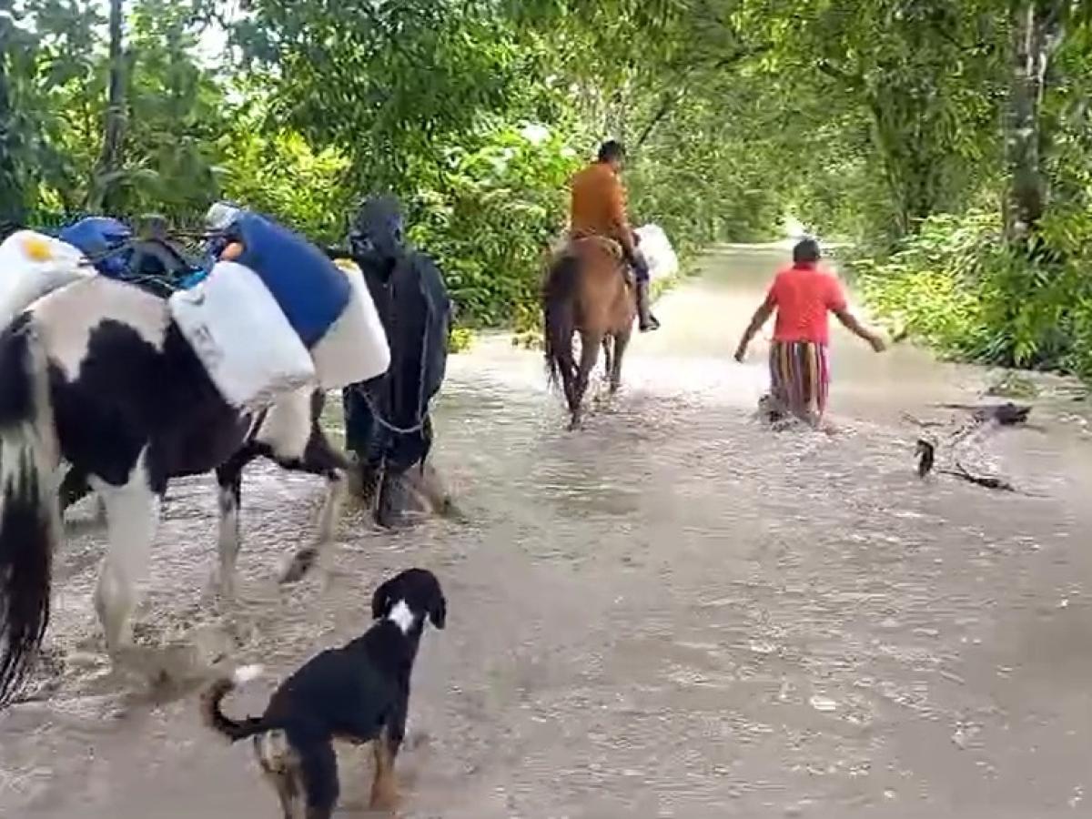 Desbordamiento río Ariari: afectaciones en veredas de El Castillo, Meta