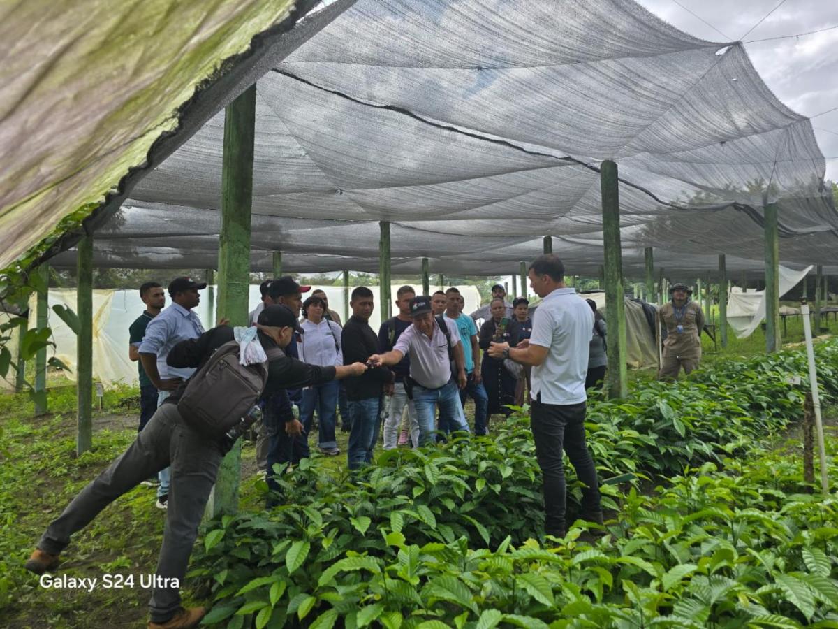 Caficultores del Alto Sinú se capacitan para mejorar la calidad del café en Córdoba