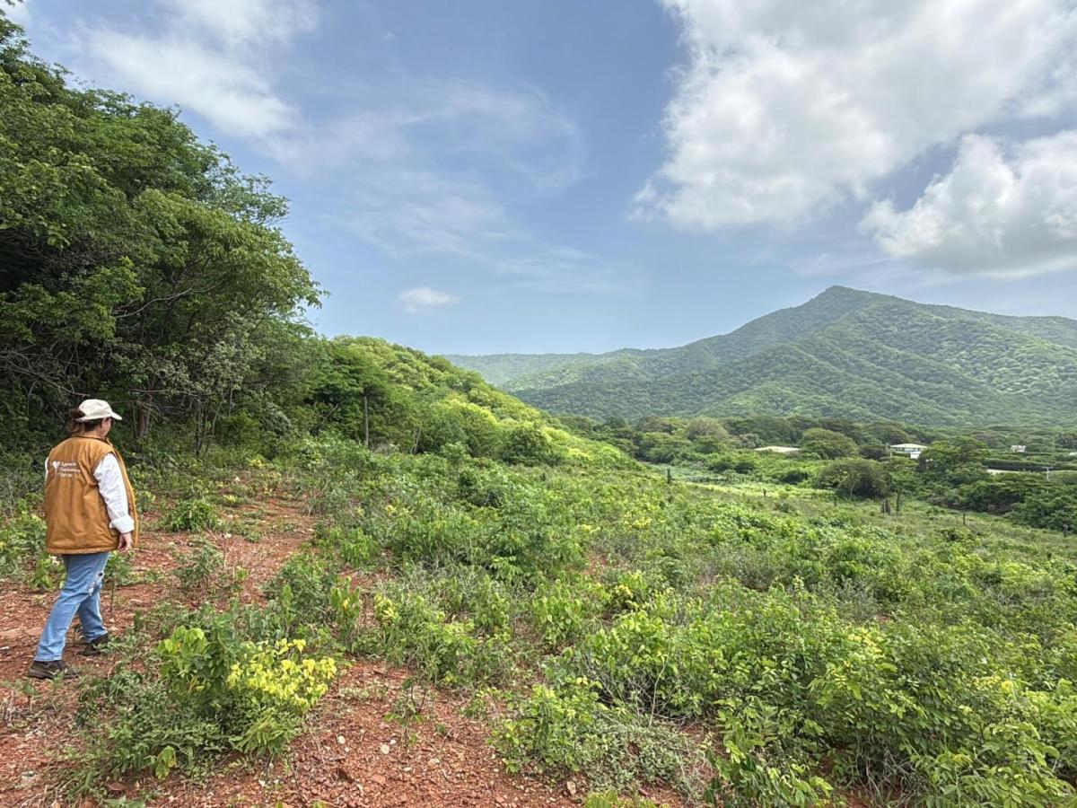 ANT recupera más de 800 hectáreas ligadas a la parapolítica en el Magdalena