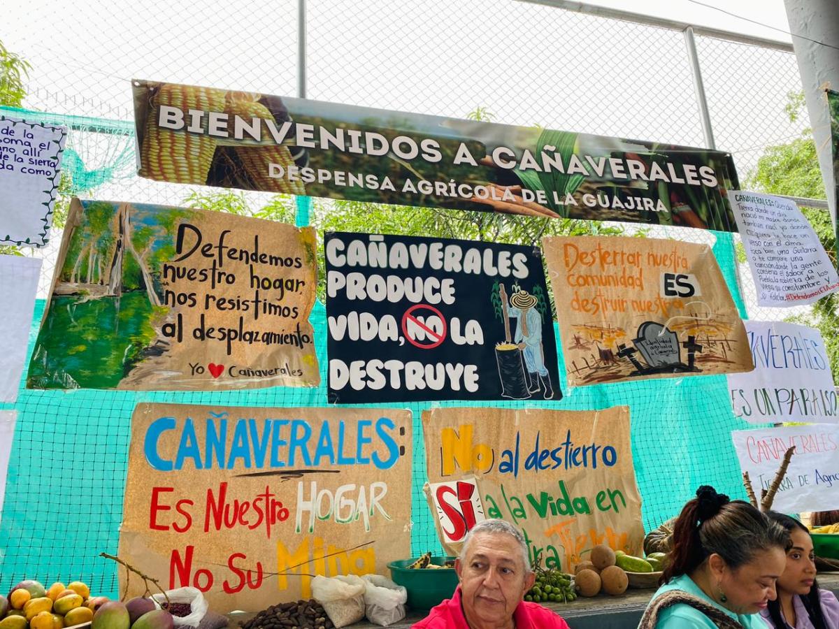 Cañaverales resiste: comunidad afro en La Guajira lucha por salvar su manantial del proyecto minero de carbón