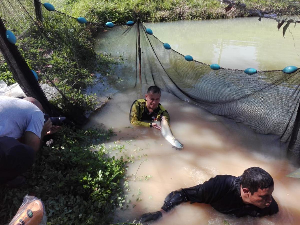 Pescador sosteniendo Arawana 