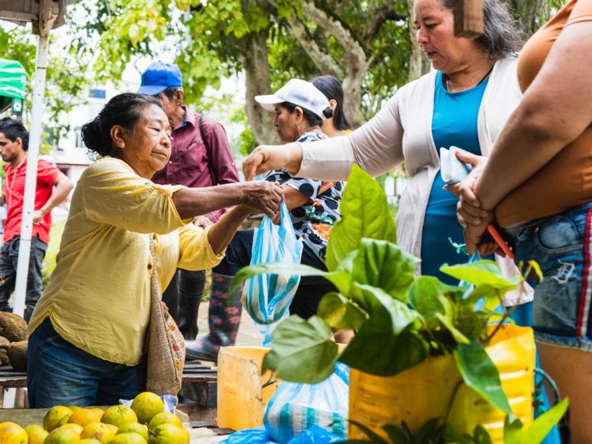 Chagra ancestral: qué es, características, pueblos indígenas