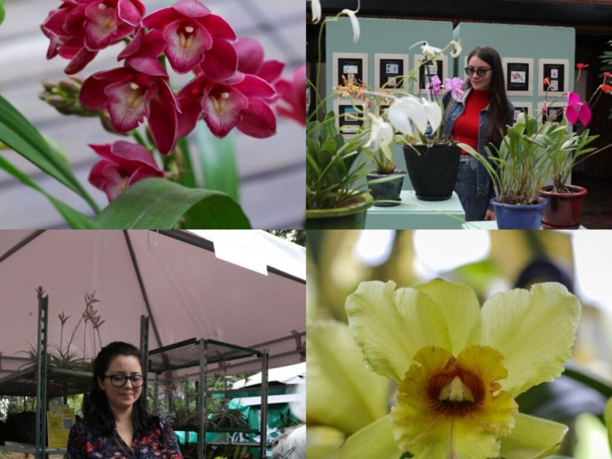 Exposición de orquídeas en el Jardín Botánico de Bogotá: Fechas y precios