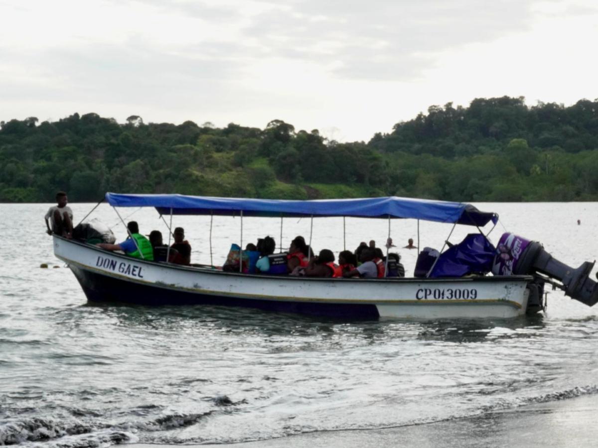 Temporada de avistamiento de ballenas en Buenaventura 2025 