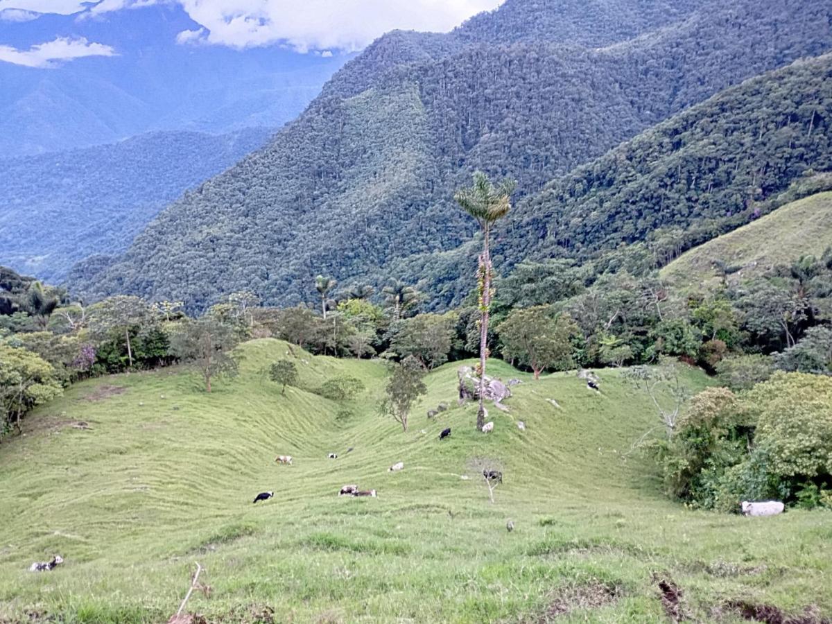 Sitios para conocer en Santa Marta: turismo con comunidades campesinas 
