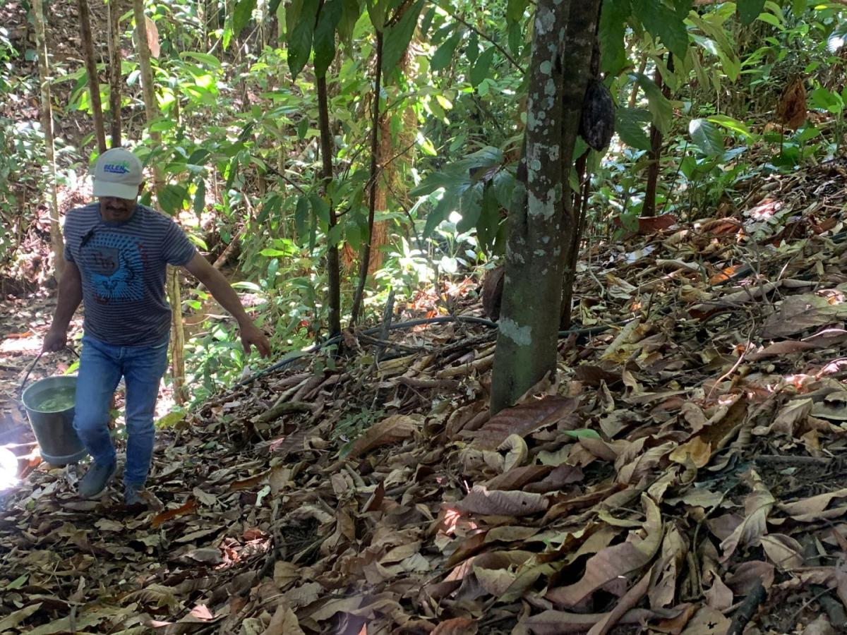 Agua potable: acceso en los municipios PDET en Colombia 