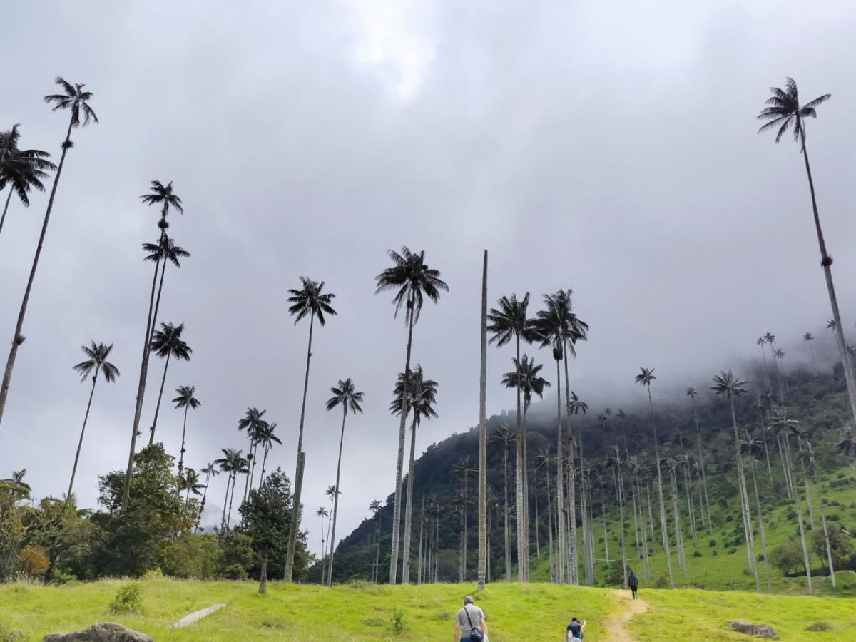 Cambio del escudo del Quindío | Escudo antes y ahora