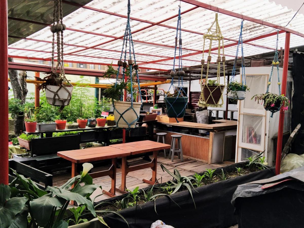 Huerta Santa Elena, una apuesta por la agricultura urbana  