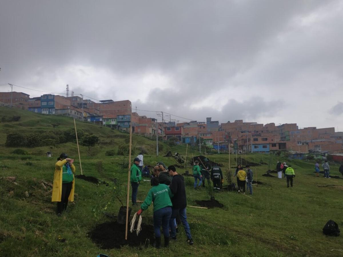 Dónde queda el Jardín Botánico Real, sur de Bogotá