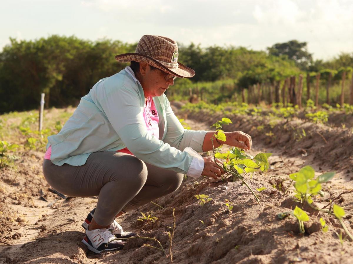 Mujeres campesinas y su lucha por la tierra en Baranoa, Atlántico
