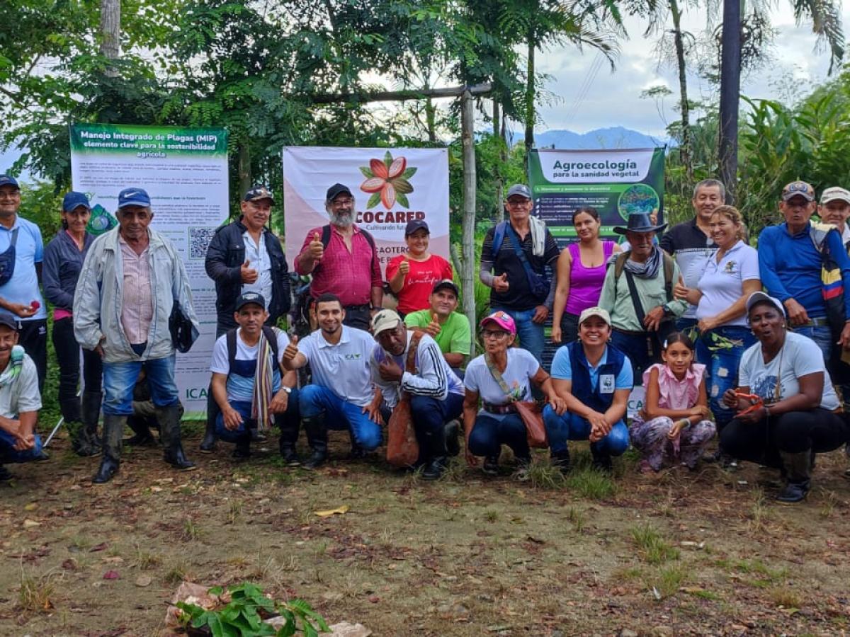 Cacao impulsa la paz y el emprendimiento en Caquetá
