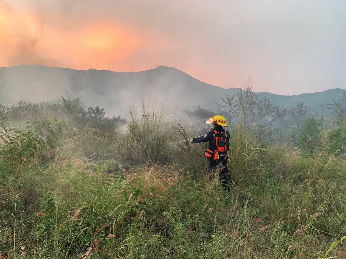 Incendio arrasó cuatro hectáreas de vegetación en Yumbo, Valle