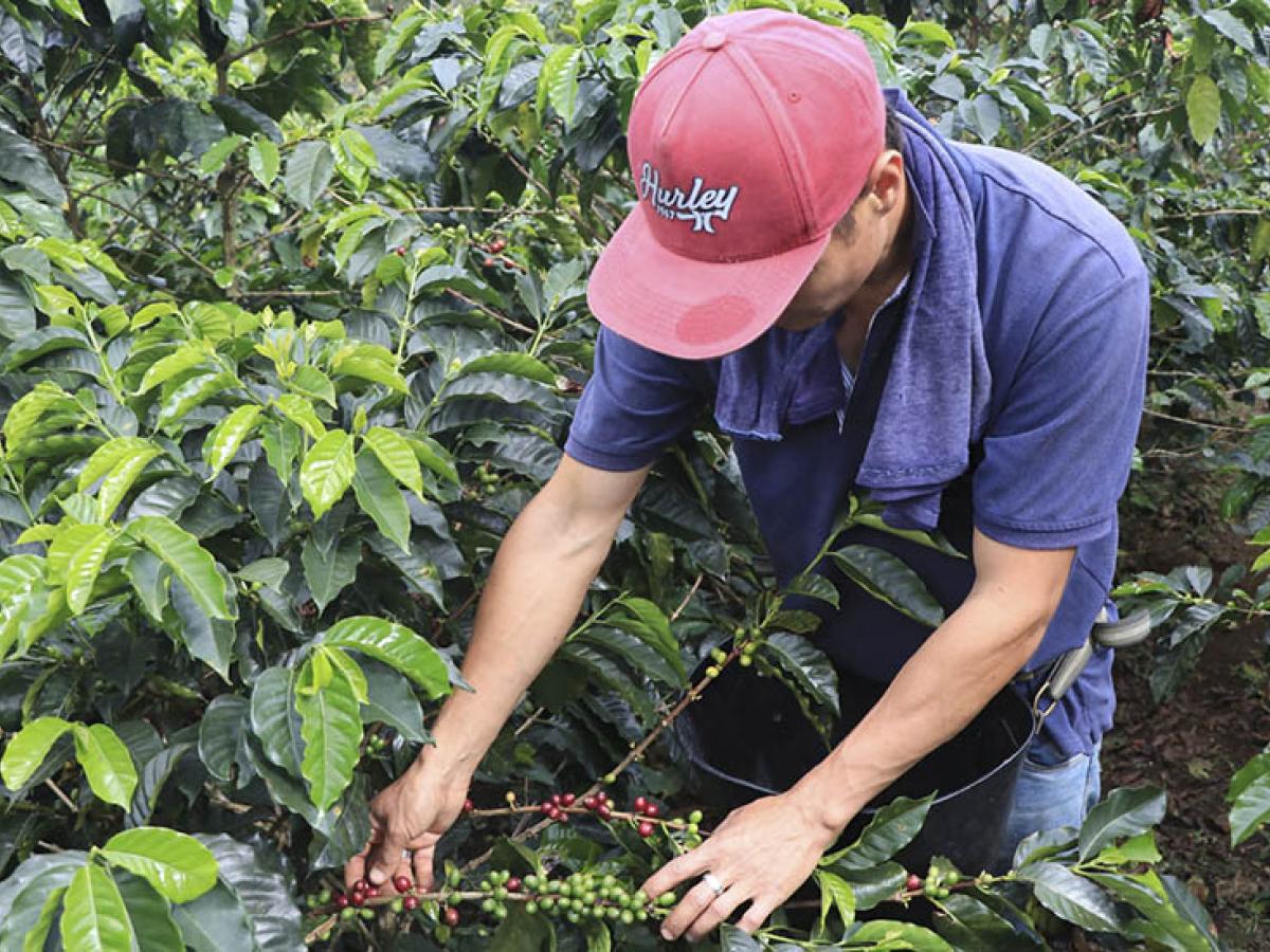  Ministerio de Agricultura y Desarrollo Rural 