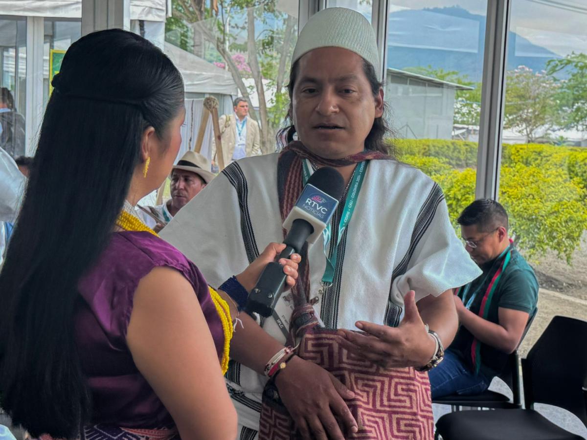 COP16: inversión $300 mil millones para implementación proyectos ambientales