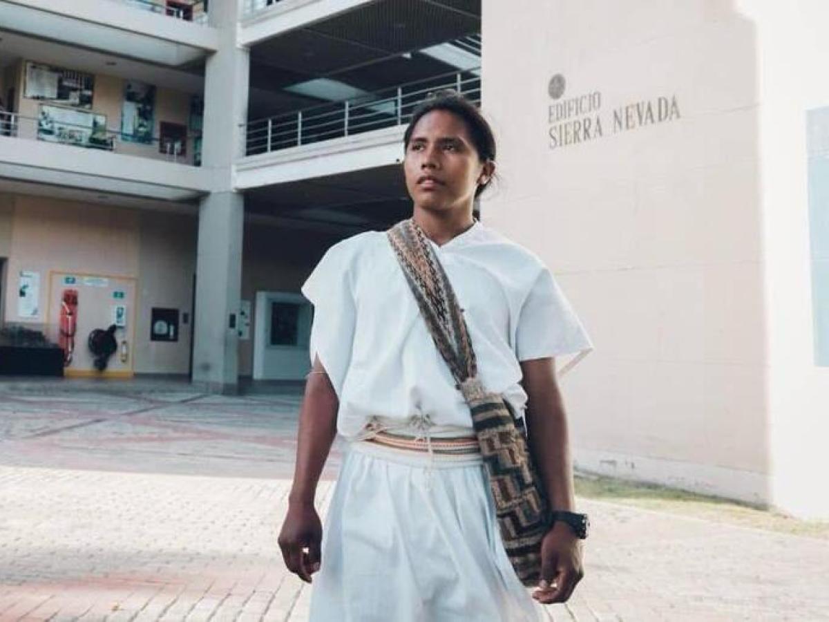 Inteligencia Artificial: Anula 1.0