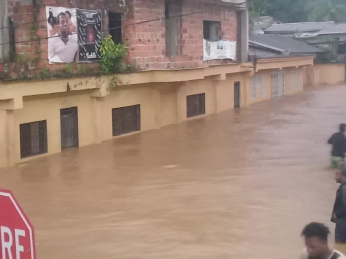 Alerta en Chocó por taponamiento del río Buchadó, palizadas y derrumbes generan el riesgo de una nueva avalancha