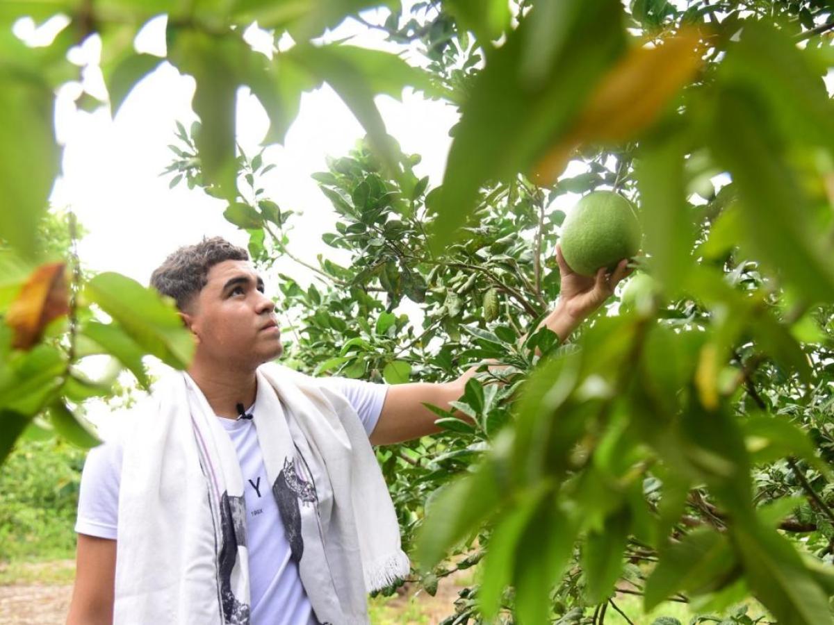 Huerta autosostenible en Atlántico: qué es y cómo funciona