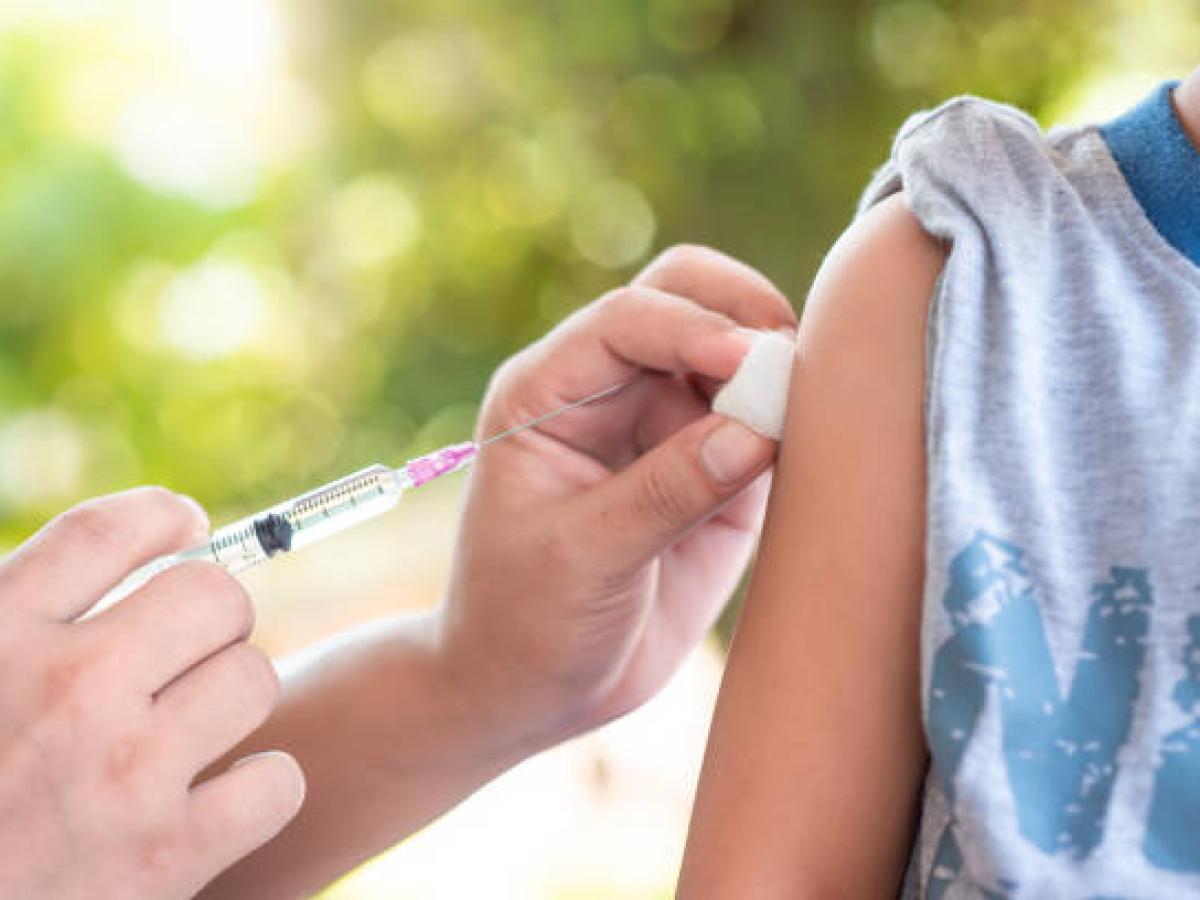 Jornada nacional de vacunación 2026: fiebre amarilla