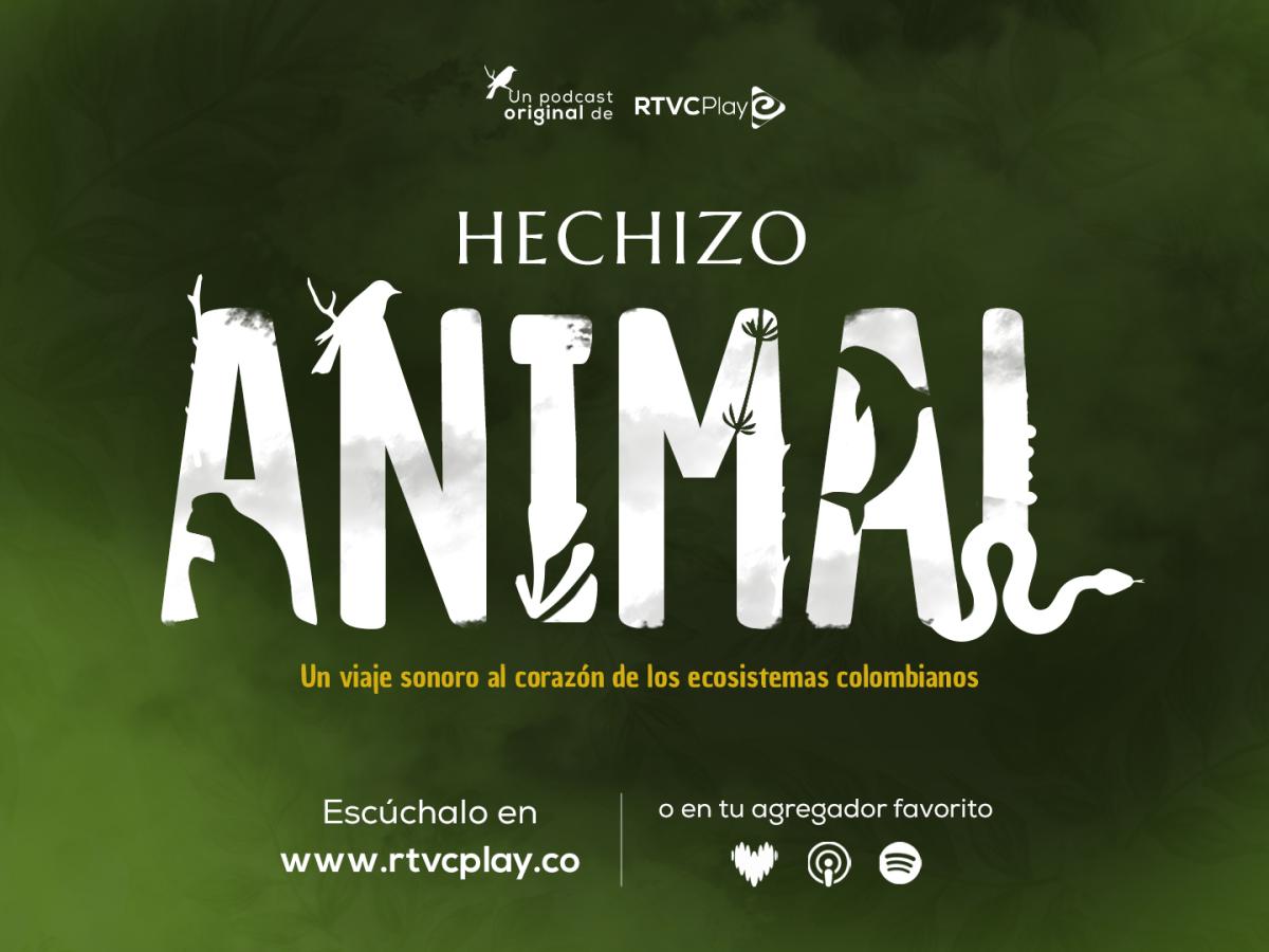 RTVCPlay: Escucha 'Hechizo animal'