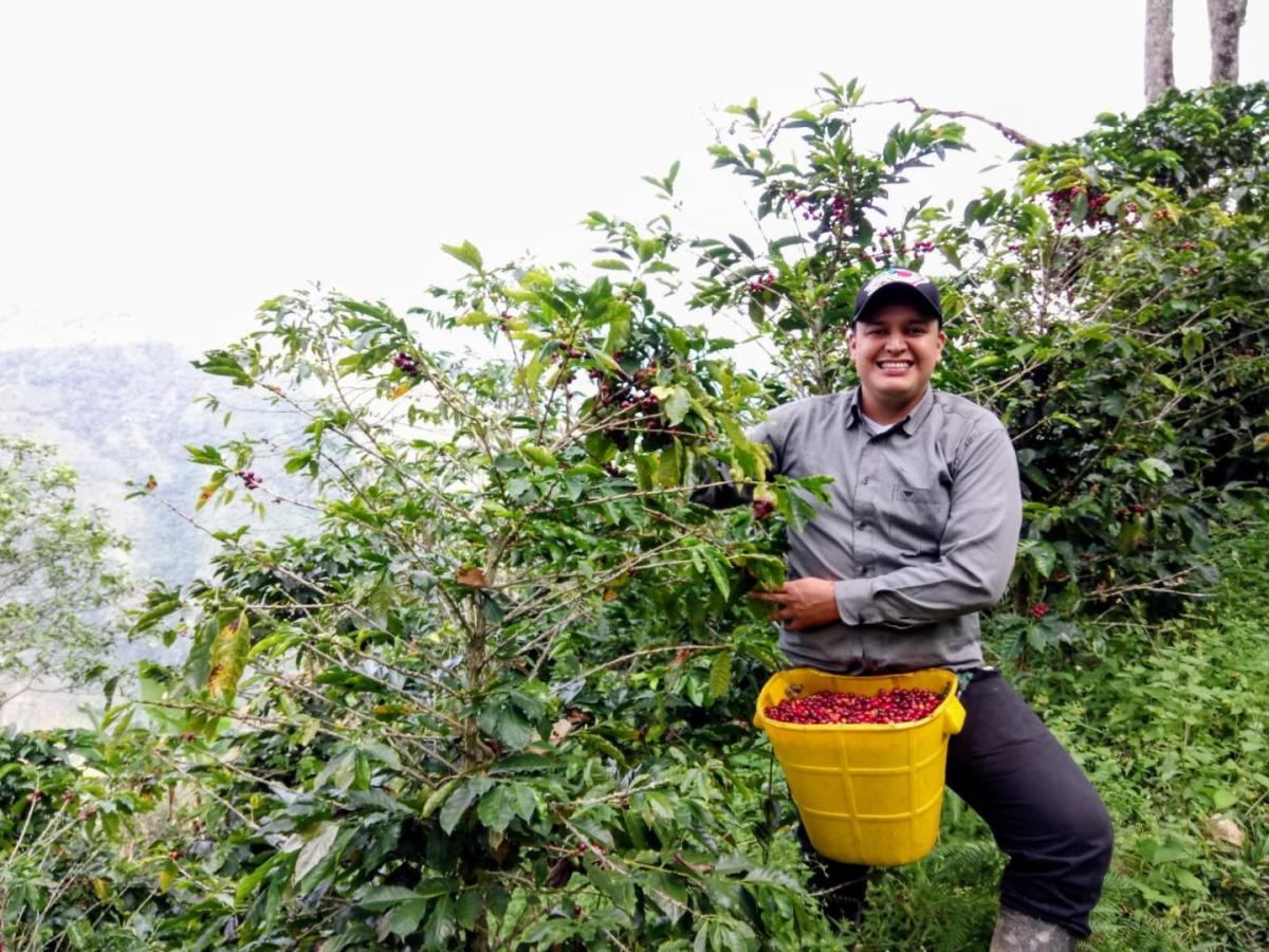 Café colombiano Abuela Bárbara: emprendimiento en Tolima 