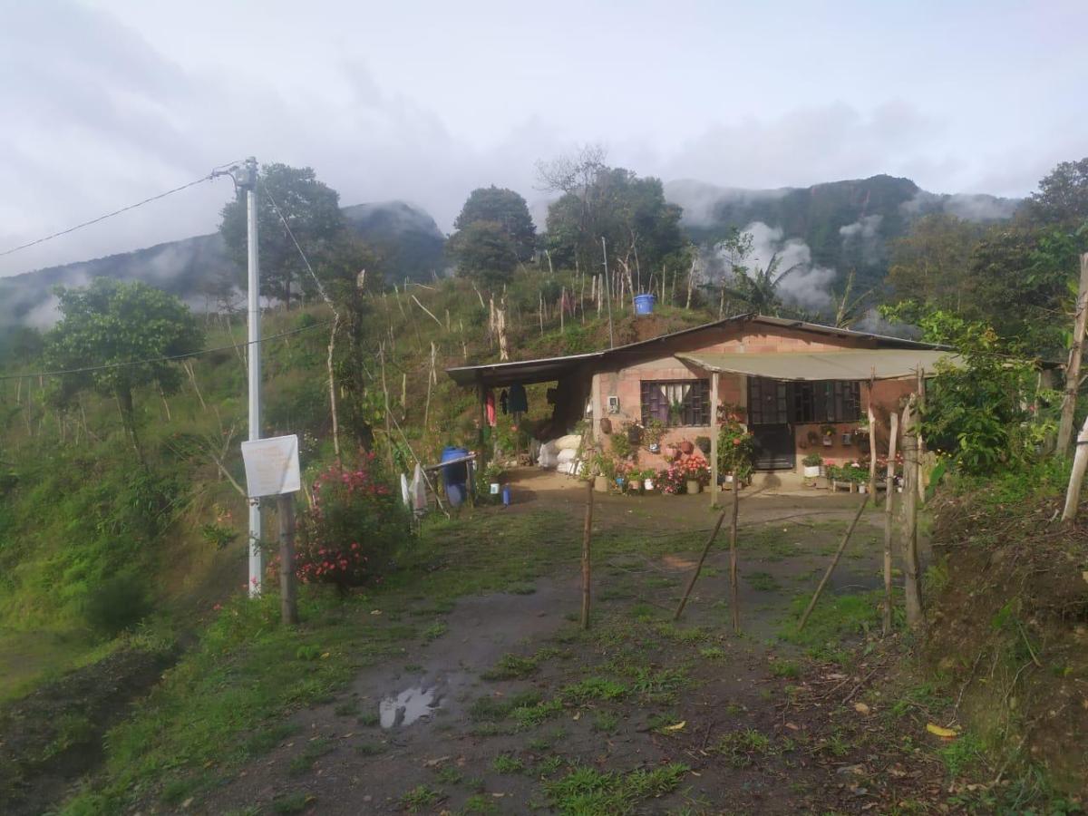 La luz llegó a El Calvario, Meta 26 familias rurales tienen energía eléctrica por primera vez