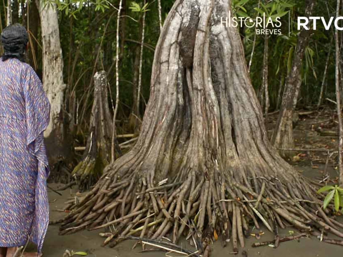 Lanzamiento de la nueva temporada de ‘Historias breves’, lugar y fecha