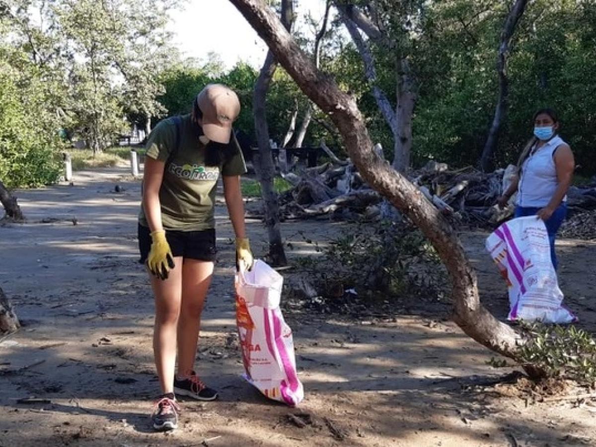 Ecología emocional: protección y conservación de manglares en el Atlántico