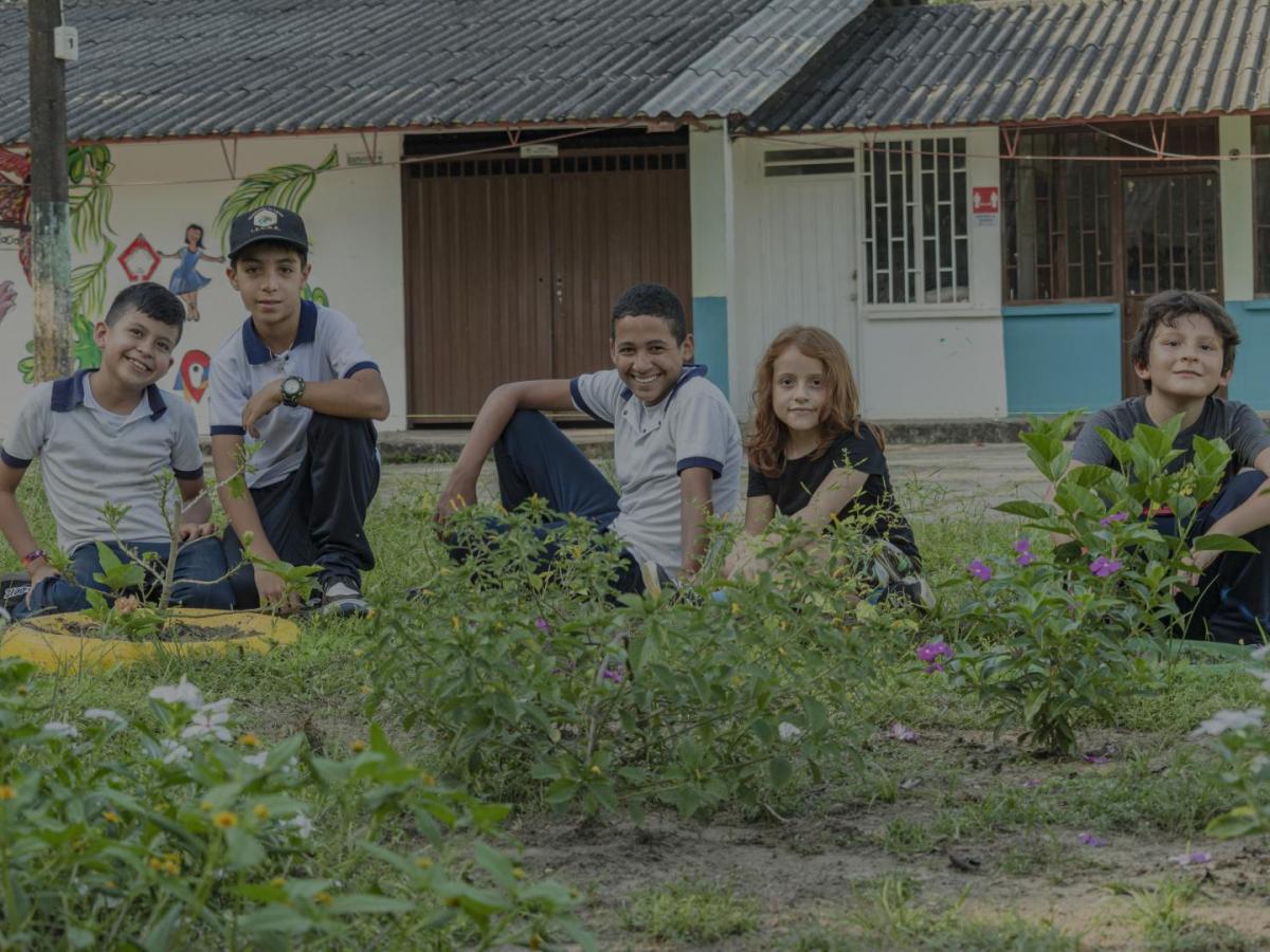 Niños que protegen las abejas: Radio Laboratorio