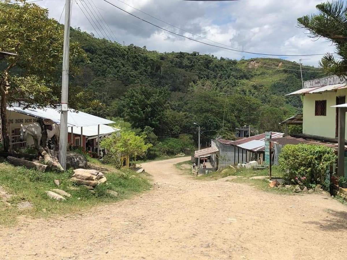 Prado, Tolima: casas que fueron de grupos ilegales ahora son para la comunidad