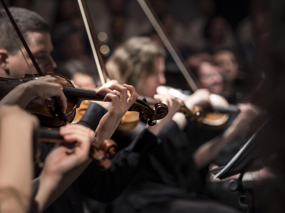 Abren convocatoria en Manizales para el Festival Nacional de Música Andina Colombiana 2025