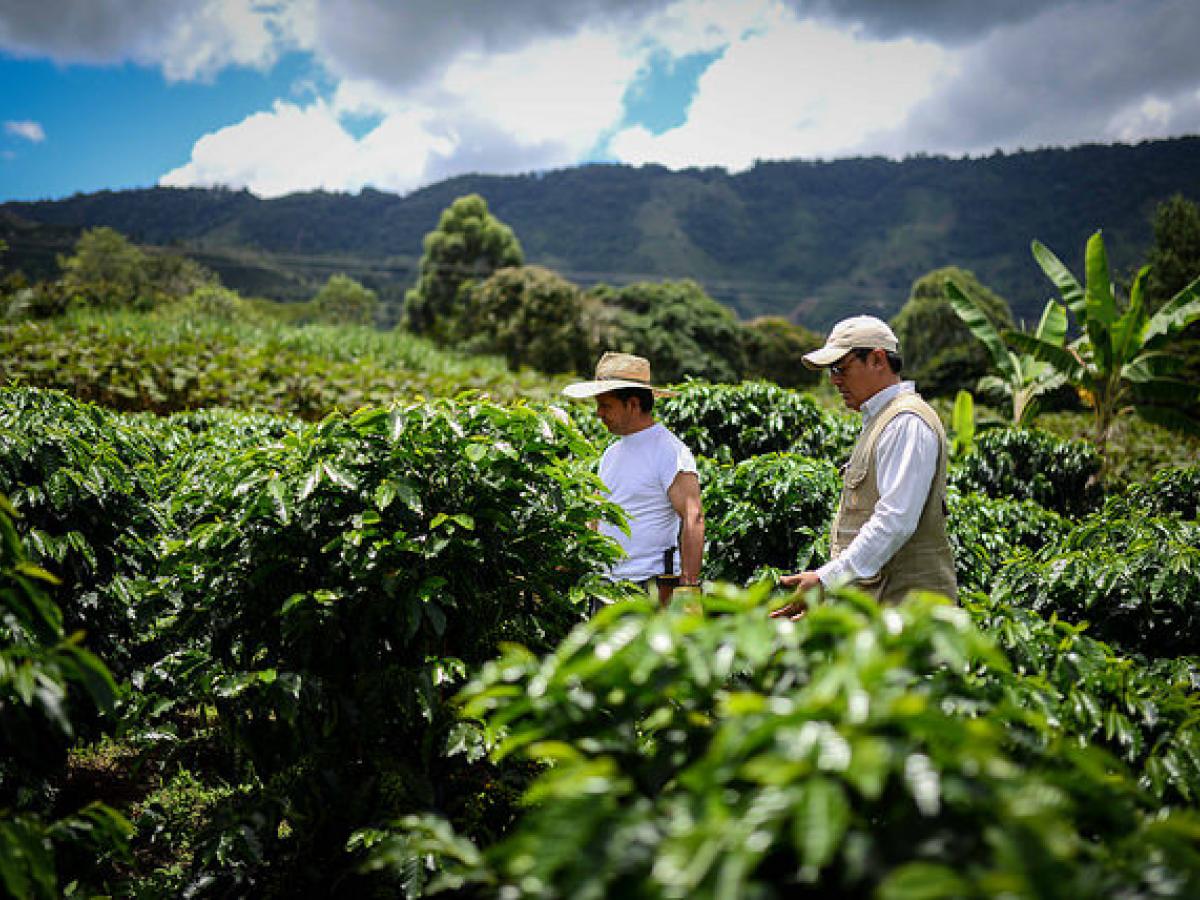 La economía colombiana creció 2,9% en octubre impulsada por la agricultura 