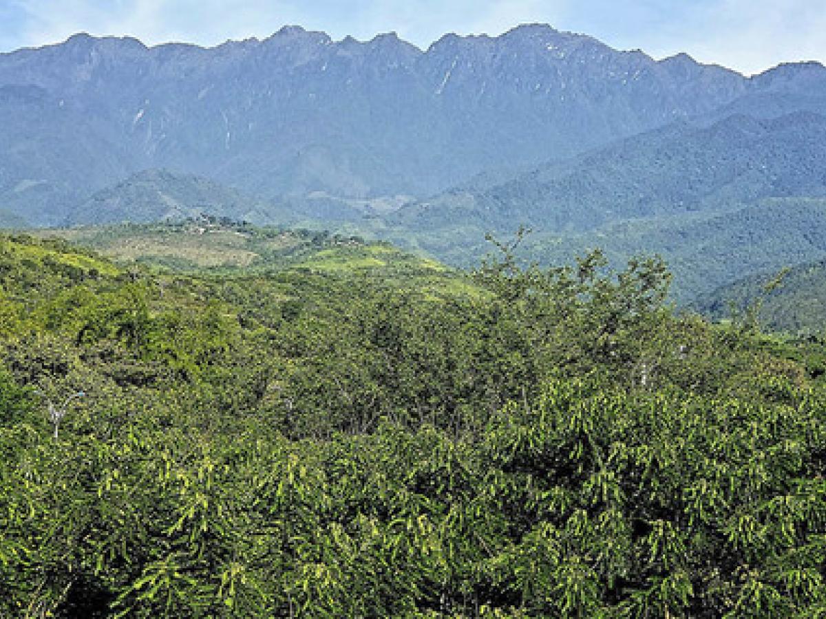 minería de oro ilegal en Colombia 