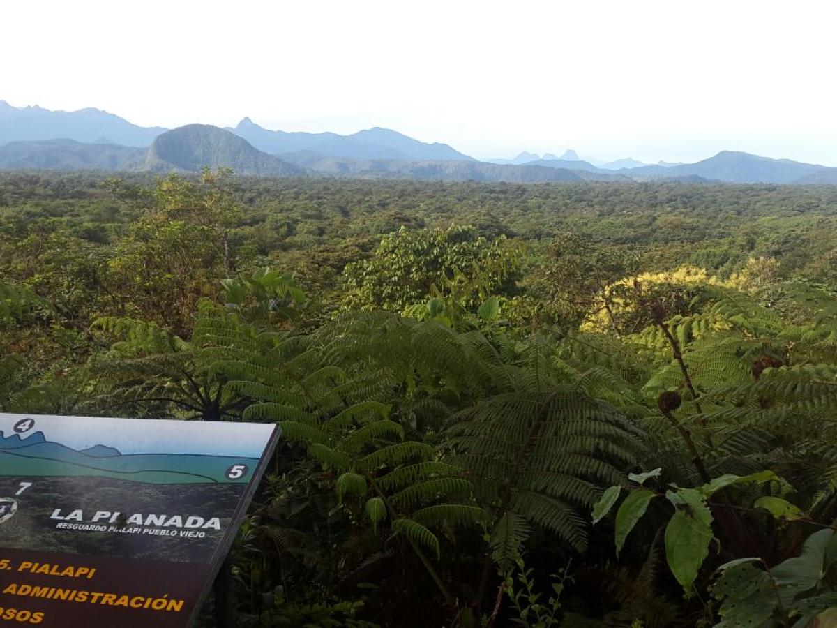 Buenas noticias para Nariño: Reservas Naturales del departamento recibirán apoyo de Cooperación Internacional