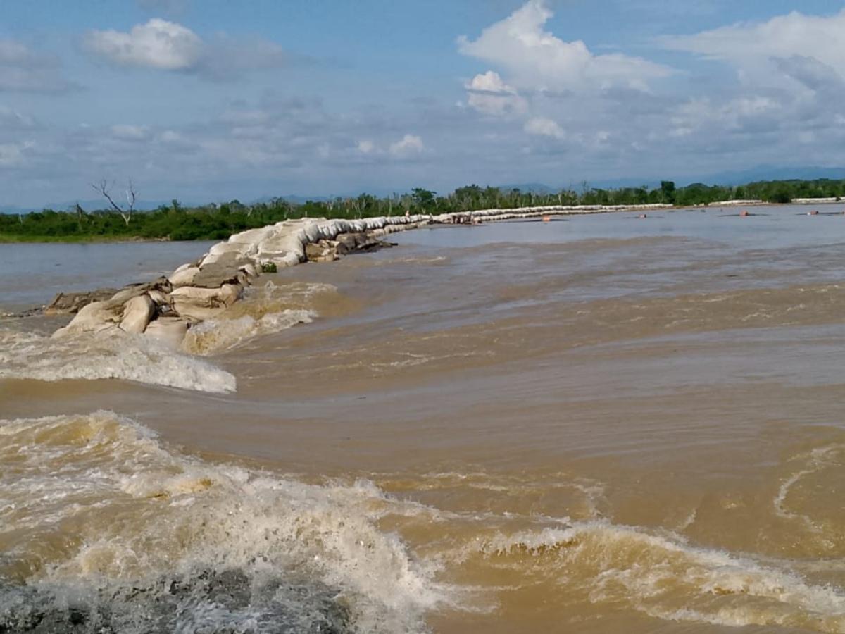La Mojana: Campesinos intentan salvar sus animales para evitar más pérdidas