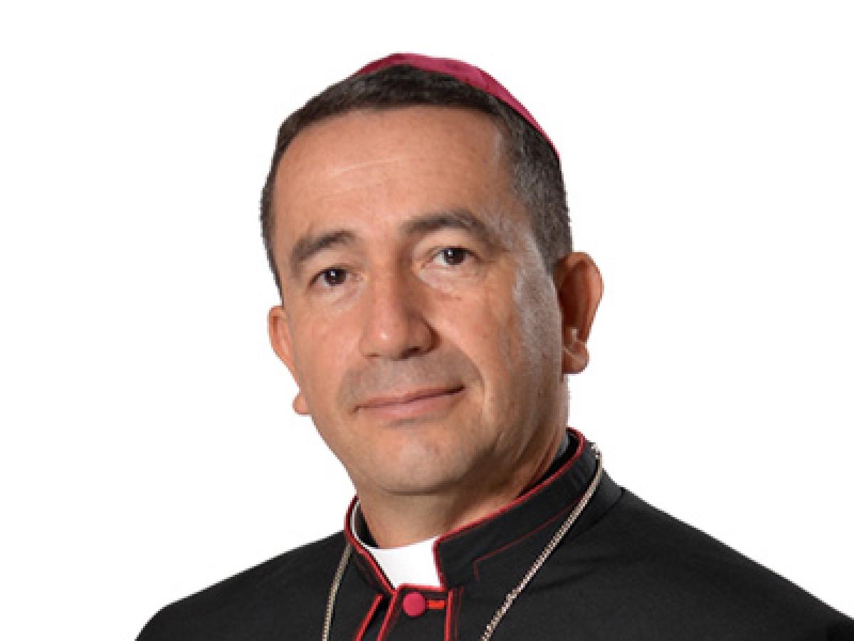  Qué es la paz urbana