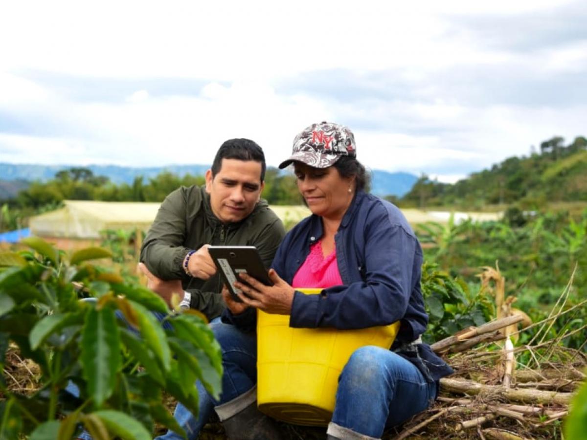 CafeLab, proyecto escolar del Huila, finalista en Premios verdes