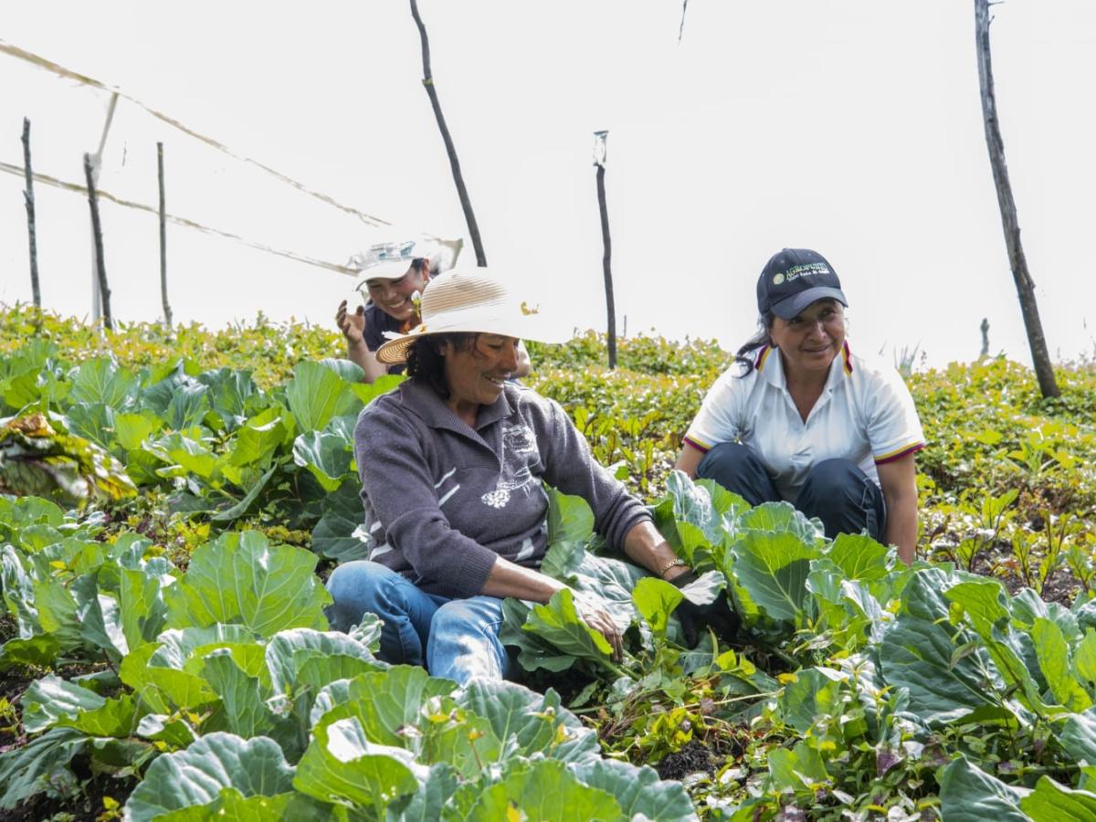 Convocatorias Minagricultura para mujeres  rurales