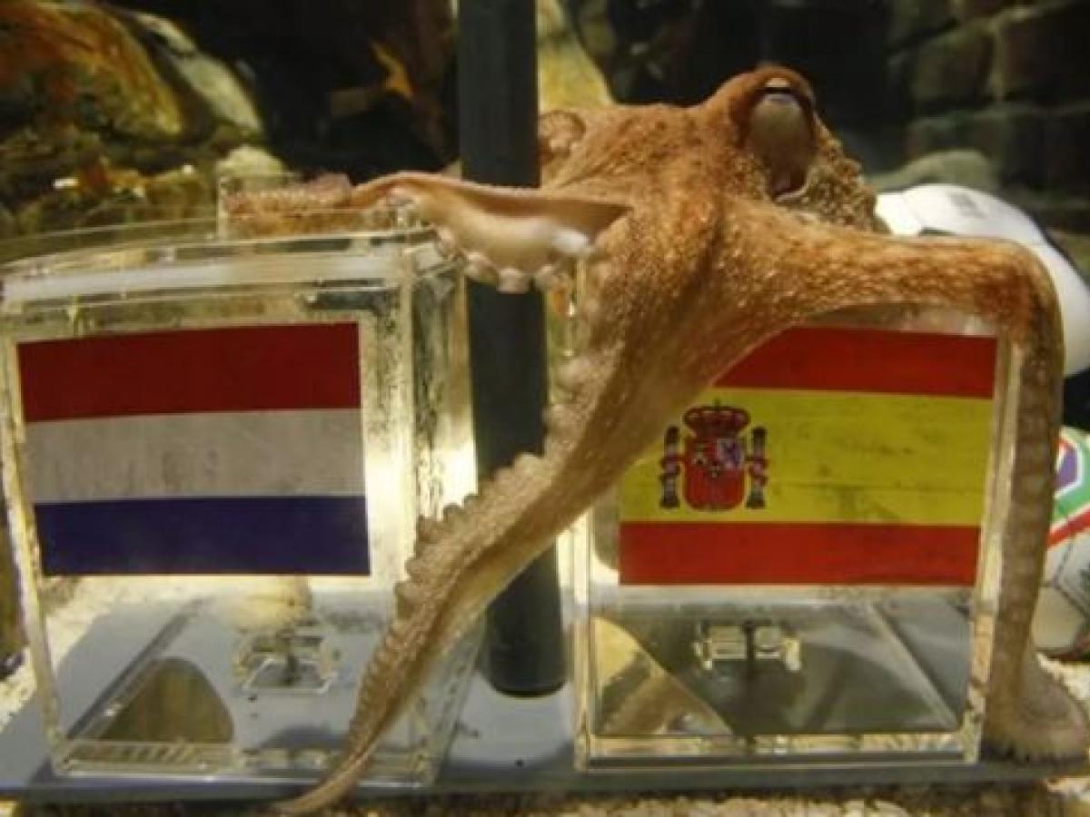 Cuántos días falta para el mundial: pulpo Paul