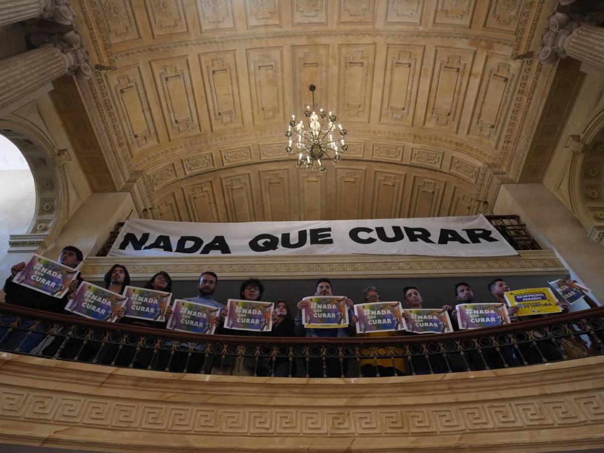 Abecé del proyecto que prohíbe terapias de conversión