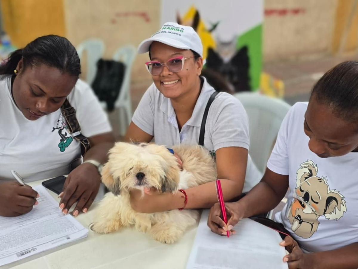Nariño pondrá en marcha ruta integral para atender el maltrato animal y reducir la impunidad